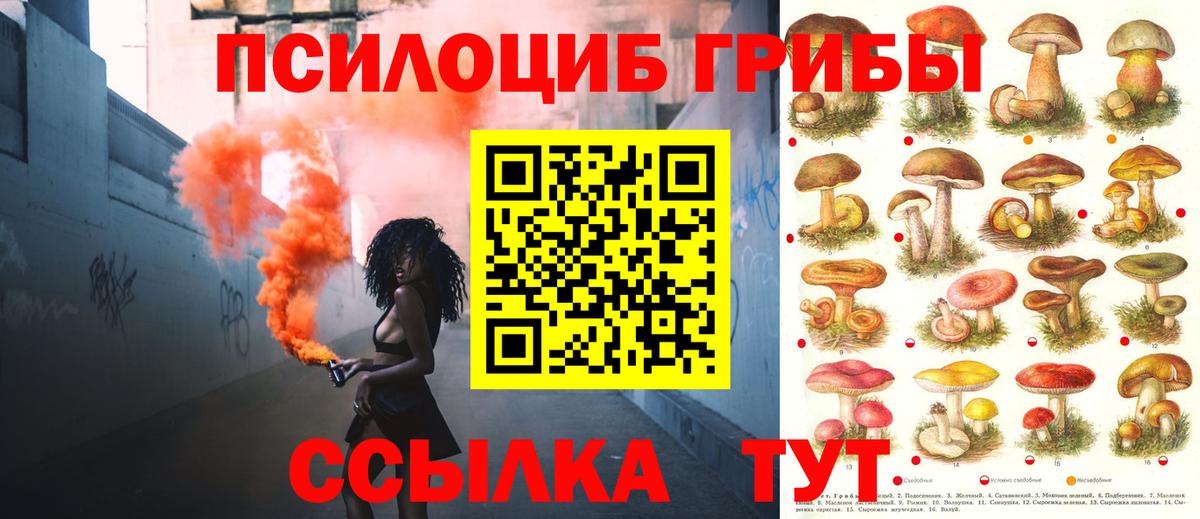Галлюциногенные грибы GOLDEN TEACHER Чусовой